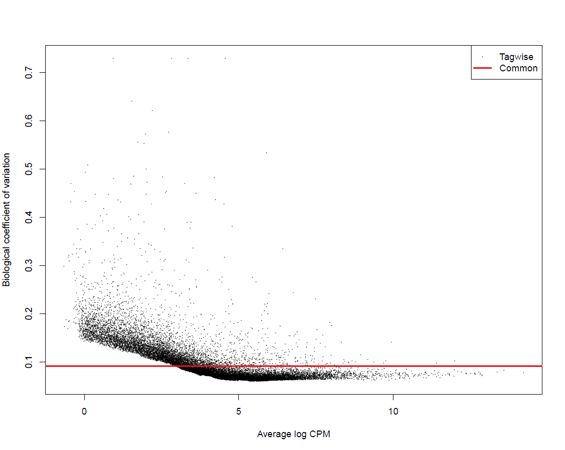 BCV_RNAseq_epicc_ColCEN