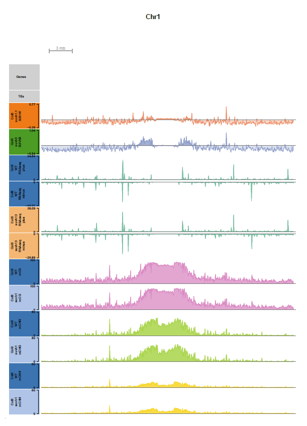 Browser_full_chromosomes__all__epicc__ColCEN