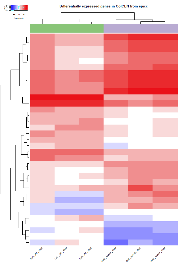 Heatmap_RNAseq_cpm__epicc__ColCEN