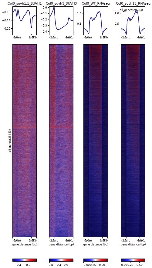 Heatmap__regions__most__epicc__ColCEN__all_genes