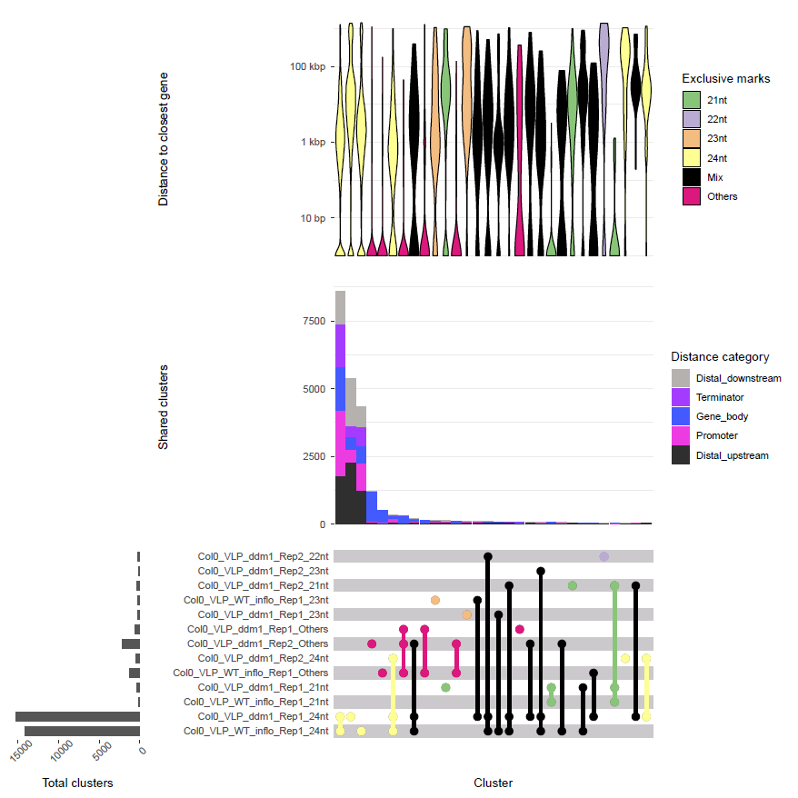 Upset_combined_clusters__sRNA__epicc__ColCEN