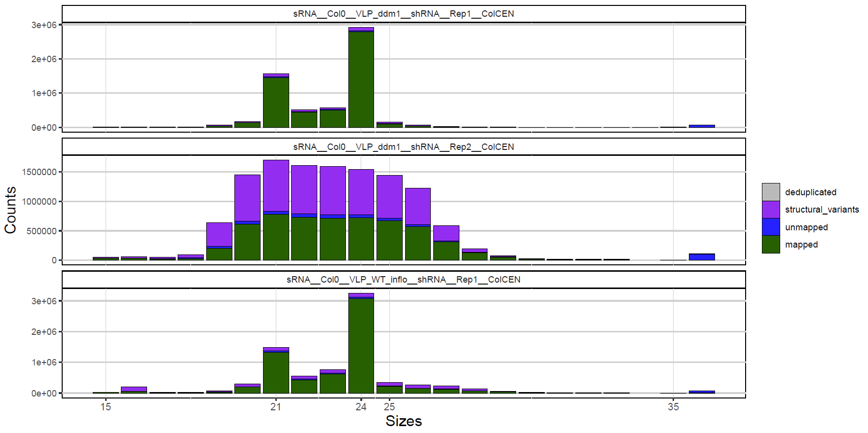 srna_sizes_stats_epicc_sRNA