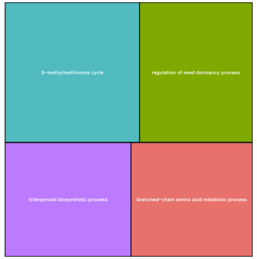 topGO_DOWN_in_Col0__suvh13_BP_treemap